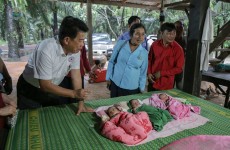 អំណោយមនុស្សធម៌កាកបាទក្រហមកម្ពុជាខេត្តព្រះសីហនុ ចែកជូនដល់គ្រួសារដែលបង្កើតបានកូនភ្លោះបី